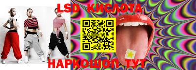 стафф Камышлов