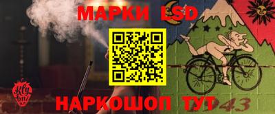 прущие грибы Кандалакша