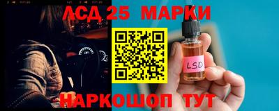 прущие грибы Кандалакша
