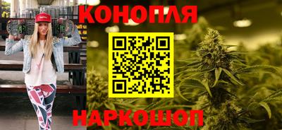 прущие грибы Кандалакша