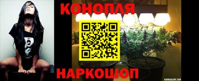 шишки Кинель