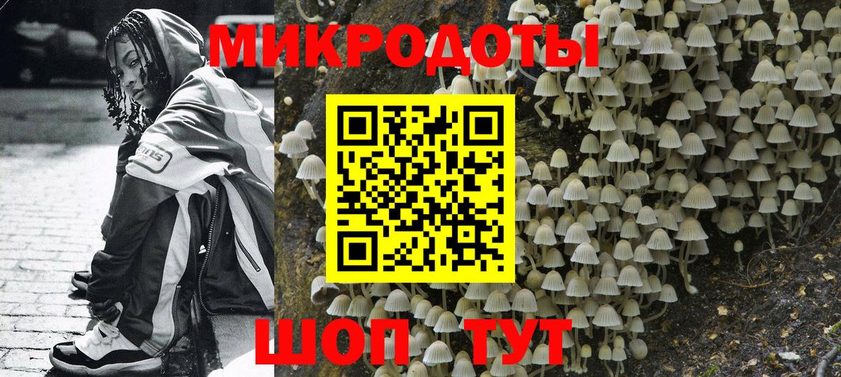 Куйбышев  Галлюциногенные грибы Cubensis  Вход с VPN 